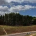 Maior exportador de celulose do Brasil, MS planeja expandir em 87% sua área de eucalipto nos próximos anos