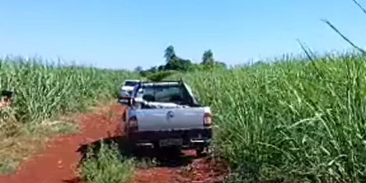 Homem desaparecido há 20 dias é encontrado morto dentro de carro
