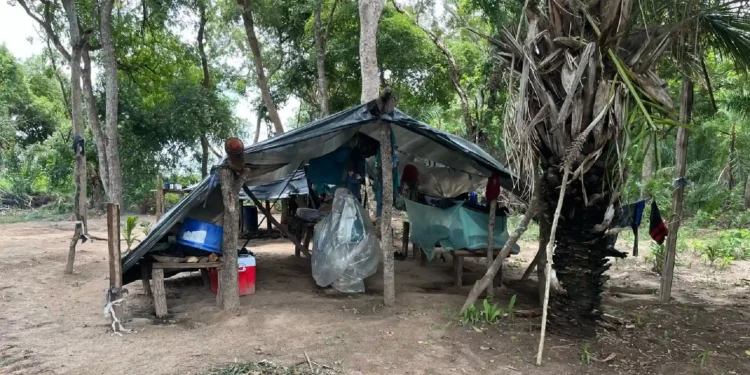 Quatro trabalhadores são resgatados em condições análogas à escravidão em fazenda de Corumbá
