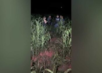 Polícia localiza corpo de idoso vítima de latrocínio em Novo Horizonte do Sul