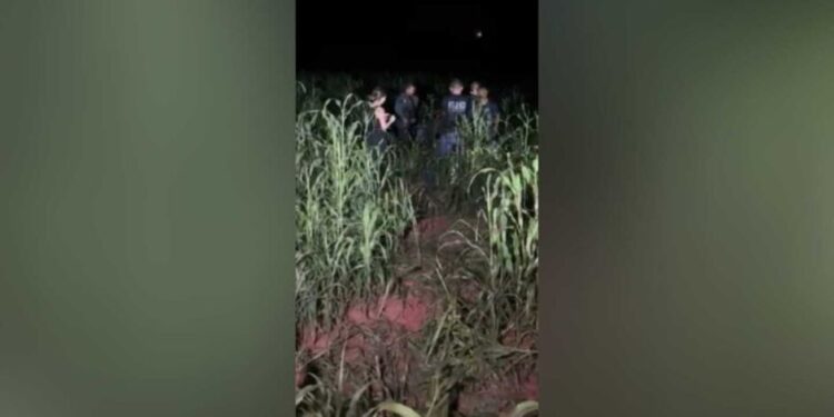 Polícia localiza corpo de idoso vítima de latrocínio em Novo Horizonte do Sul