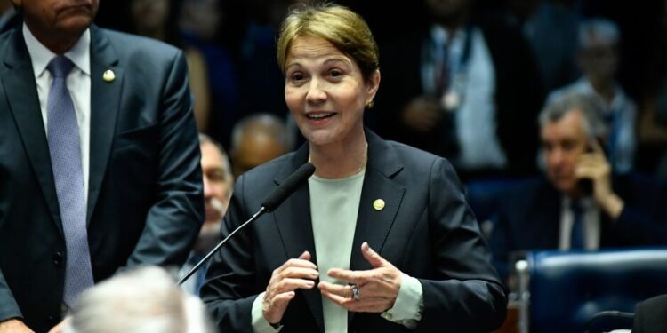 Senado aprova PEC de Tereza Cristina que classifica Pantanal de MS como patrimônio nacional