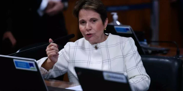 Senadores votam PEC de Tereza Cristina sobre o Pantanal nesta terça-feira