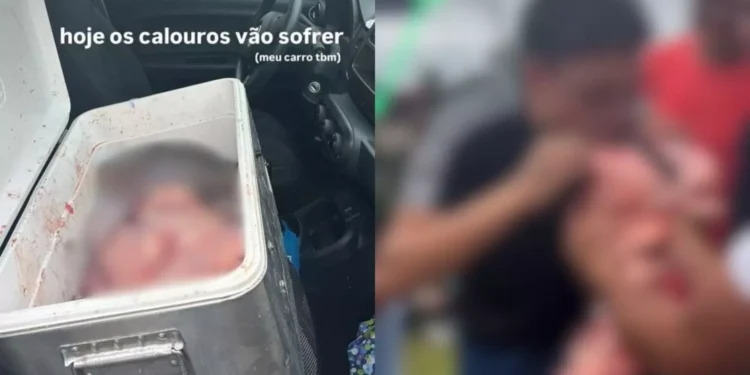 Calouros de veterinária da UFMS são obrigados a lamberem partes íntimas de vaca em trote