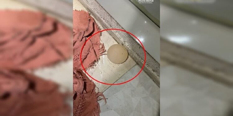 Mulher tem silicone tirado com faca de cozinha após brigar com marido