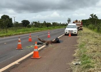 Criança morre em acidente na BR-267, em Nova Alvorada do Sul