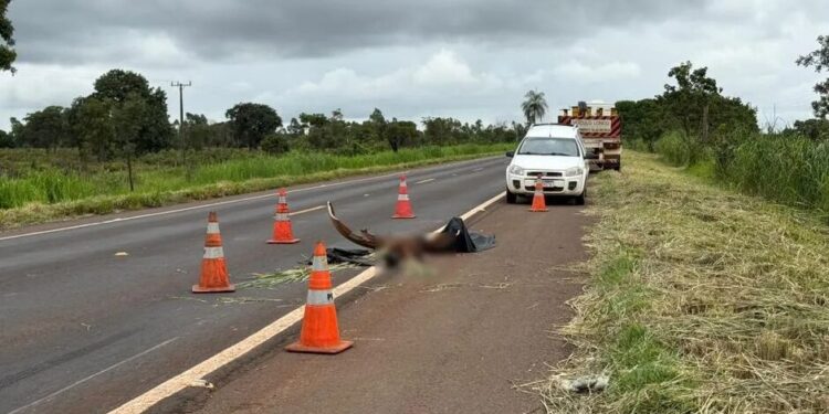 Criança morre em acidente na BR-267, em Nova Alvorada do Sul