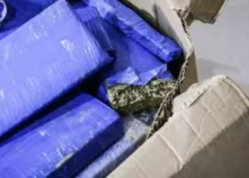 Casal é preso após descoberta de ‘guarda-roupa’ com maconha avaliada em R$ 7 milhões em Campo Grande