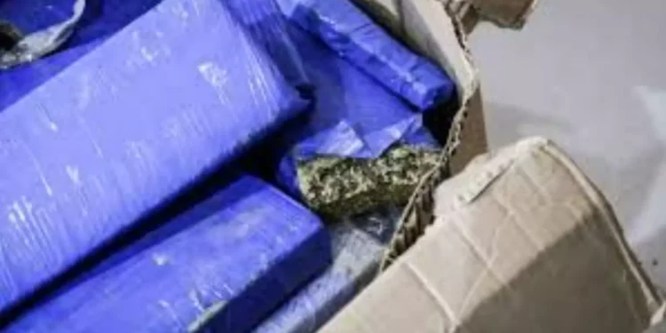 Casal é preso após descoberta de ‘guarda-roupa’ com maconha avaliada em R$ 7 milhões em Campo Grande