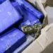 Casal é preso após descoberta de ‘guarda-roupa’ com maconha avaliada em R$ 7 milhões em Campo Grande