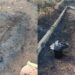 Mulher e criança são encontradas carbonizadas no Indubrasil