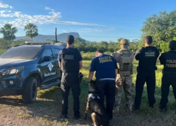 Família que transportava cocaína de MS para outros estados do país é alvo da PF