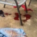 Filha dá facada na própria mãe após ser atingida por óleo quente no Tijuca em  Campo Grande