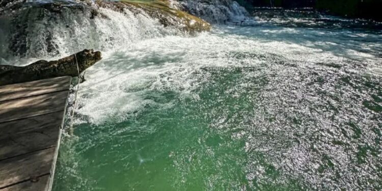 Adolescente morre afogado durante excursão escolar na Estância Mimosa Ecoturismo
