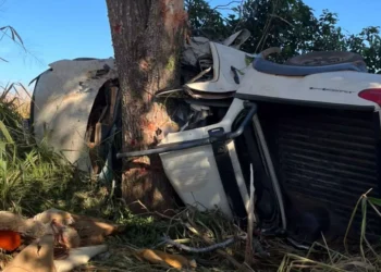 Três morrem e uma fica ferida após caminhonete colidir com árvore em MS
