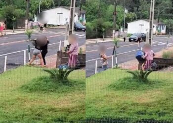 Ninguém vai sair vivo”: briga de vizinhos termina em ameaça e cachorro ferido em Jardim