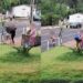 Ninguém vai sair vivo”: briga de vizinhos termina em ameaça e cachorro ferido em Jardim