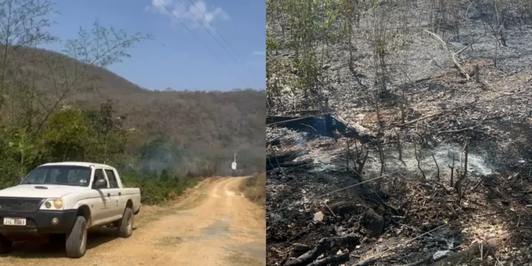 Fogo na Serra da Bodoquena é controlado com apoio dos bombeiros e brigadistas do ICMBio