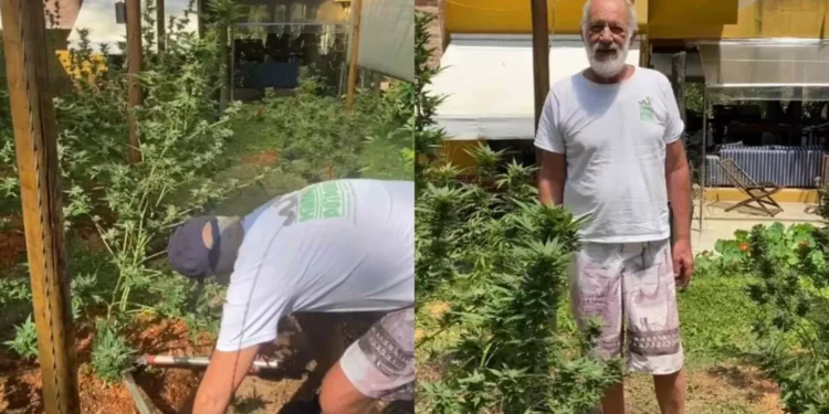 Ex-ator da Globo é denunciado por plantação de maconha em casa: ‘Tem mesmo, entrem’