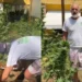 Ex-ator da Globo é denunciado por plantação de maconha em casa: ‘Tem mesmo, entrem’