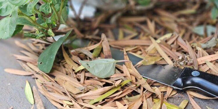 Homem é esfaqueado dentro de casa em Nova Andradina