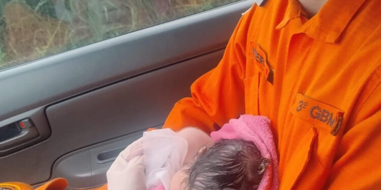 Entre Águas e Esperança: Jovem de 19 anos dá à luz em estrada isolada por inundação em Miranda