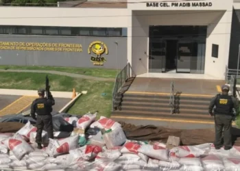 Caminhoneiro é preso com 900 kg de maconha em carga de açúcar