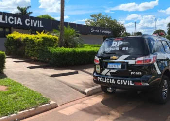 Sobrinho confessa que matou tia com golpes de panela e Makita