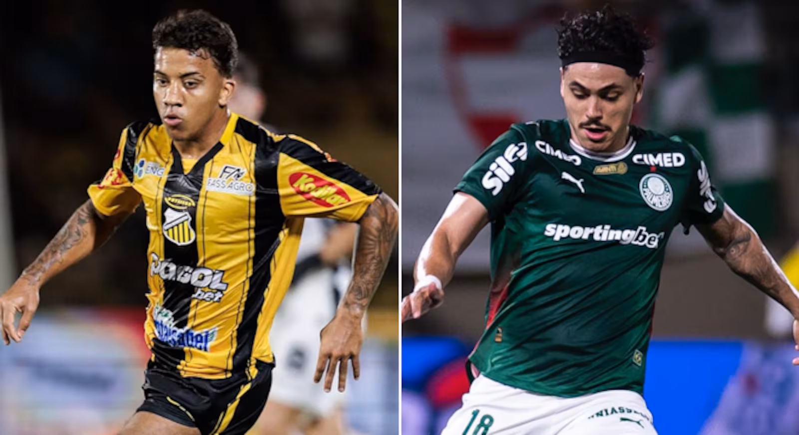Novorizontino e Palmeiras decidem o título neste domingo (8)