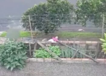 Adolescente de 16 anos com bebê no colo é morta pelo ex-namorado no Paraná