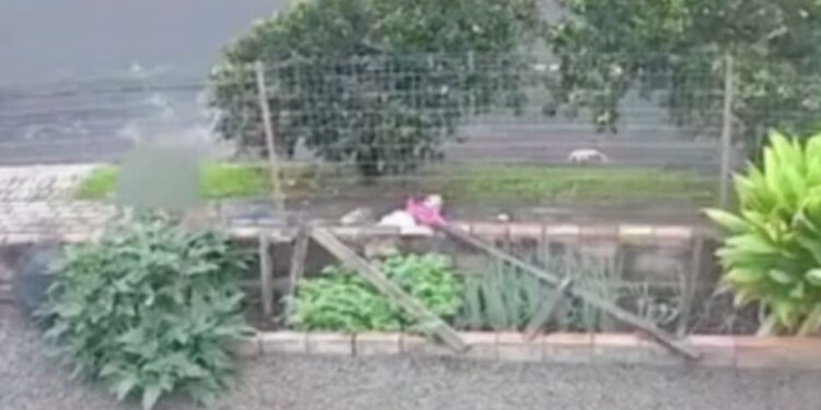 Adolescente de 16 anos com bebê no colo é morta pelo ex-namorado no Paraná