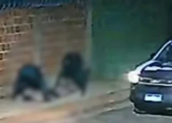 Justiça solta policiais militares envolvidos em morte durante abordagem em Anastácio