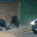 Justiça solta policiais militares envolvidos em morte durante abordagem em Anastácio