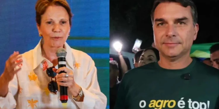 ‘Não gosto de ser chamada de vozinha’, diz Tereza Cristina