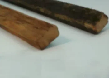 Briga entre irmãos termina com mulher agredida a pauladas em Amambai