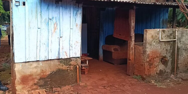 Suspeito de matar a própria mãe, jovem alega que mulher viu ‘vultos’ antes de morrer