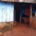 Suspeito de matar a própria mãe, jovem alega que mulher viu ‘vultos’ antes de morrer