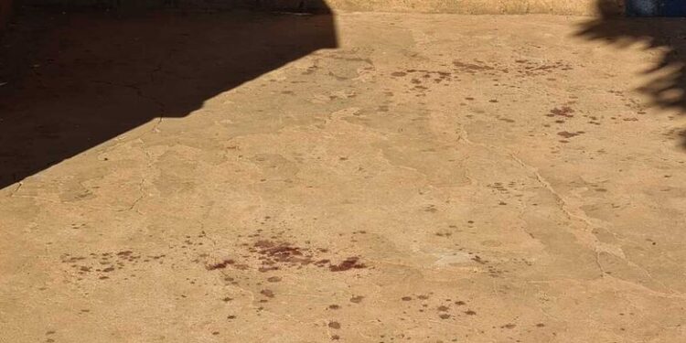 Vizinho estranha sumiço, vê urubus e encontra pecuarista morto em Três Lagoas