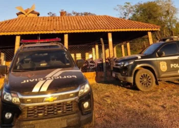 Operação mira núcleo de mulheres do PCC e prende 14 em MS