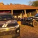 Operação mira núcleo de mulheres do PCC e prende 14 em MS