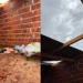 Retomada indígena tem casas completamente destelhadas após tempestade em Aral Moreira