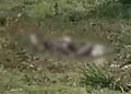 Homem é morto a facadas e tem corpo queimado em Itaquiraí