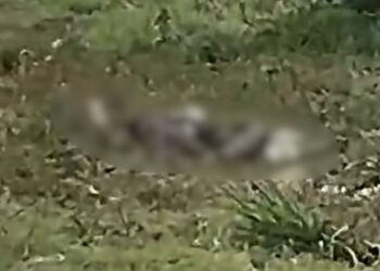 Homem é morto a facadas e tem corpo queimado em Itaquiraí