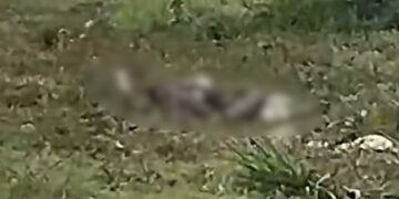 Homem é morto a facadas e tem corpo queimado em Itaquiraí