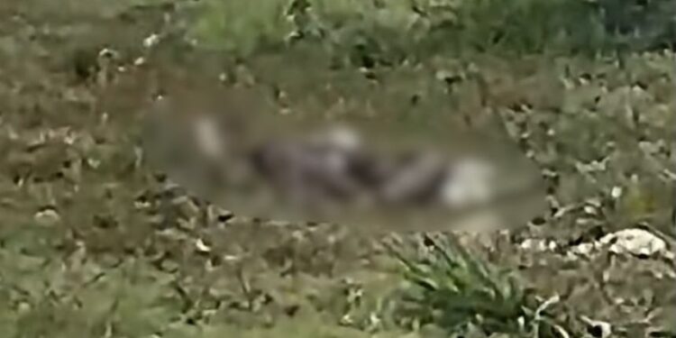 Homem é morto a facadas e tem corpo queimado em Itaquiraí