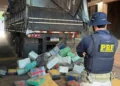 PRF apreende 5,2 toneladas de maconha em caminhão com carga de milho