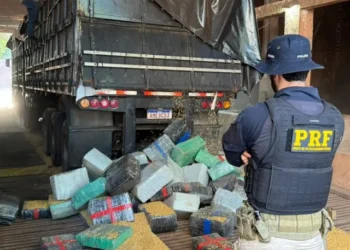 PRF apreende 5,2 toneladas de maconha em caminhão com carga de milho