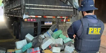 PRF apreende 5,2 toneladas de maconha em caminhão com carga de milho