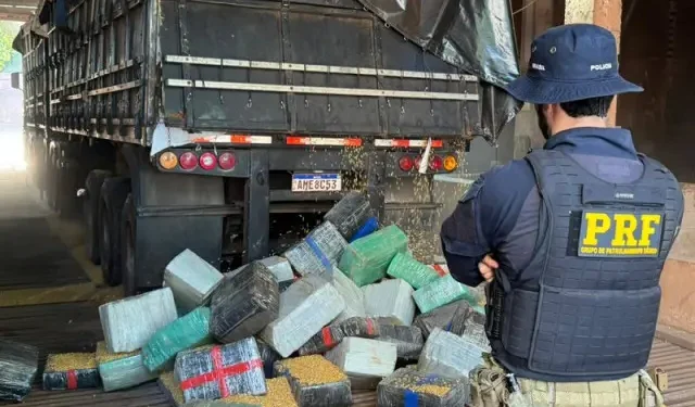 PRF apreende 5,2 toneladas de maconha em caminhão com carga de milho