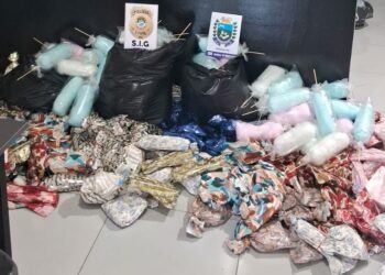 Polícia interrompe festa de Dia das Crianças financiada por facção em Sonora